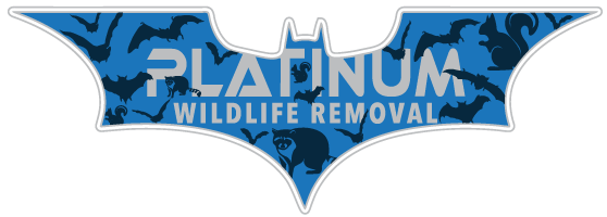 Hastings Wildlife Removal